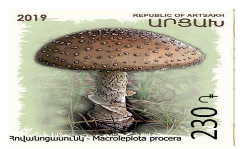 Ներմուծեք նկարագրությունը_2401